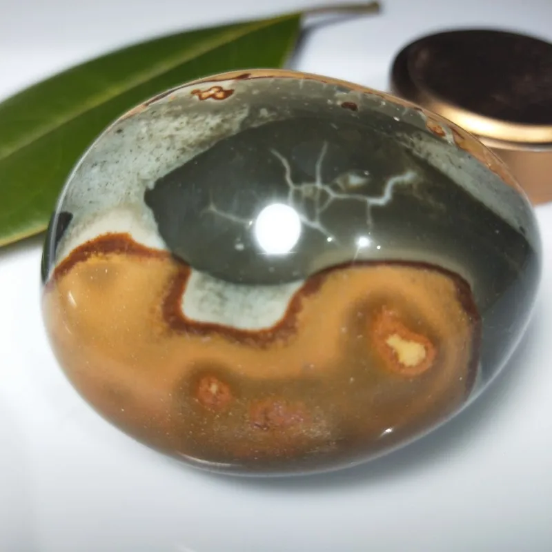 200g 1pcs Natural Madagascar Marine Stone Ocean Jasper Palm Stone Teaching Material Minerals Collection Free Shipping
200g 1pcs Natural Madagascar Marine Stone Ocean Jasper Palm Stone Teaching Material Minerals Collection Free Shipping