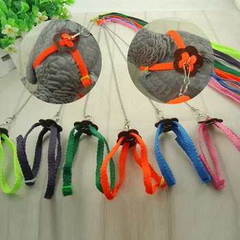 Small Pet Leash Colorful Parrot Bird Leashes Outdoor Adjustable Harness Training Rope Lead Leash Small Pets Accessories Supplies
Small Pet Leash Colorful Parrot Bird Leashes Outdoor Adjustable Harness Training Rope Lead Leash Small Pets Accessories Supplies