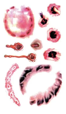4522171067_1617873312.400x400