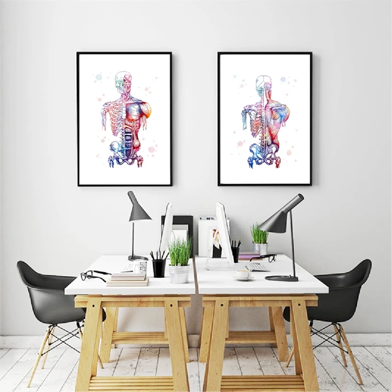 Canvas Art Printed Modular Picture Human Muscles Nordic Poster Skeleton Anatomy Watercolor Painting Body Medical Wall Decoration
Canvas Art Printed Modular Picture Human Muscles Nordic Poster Skeleton Anatomy Watercolor Painting Body Medical Wall Decoration