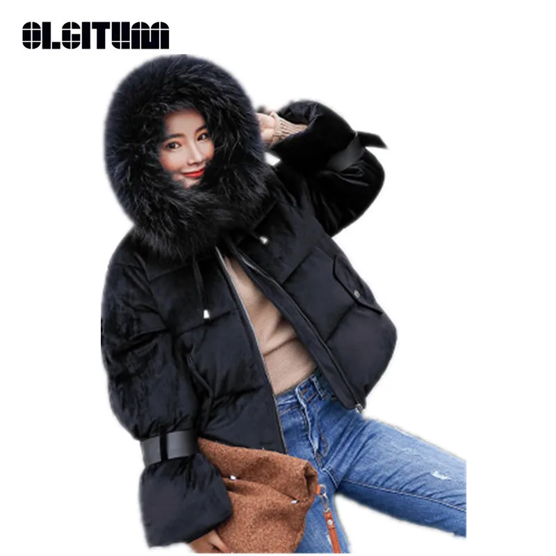 New 2018 Women Cotton Padded Jacket Short Parka Fur Collar Coat Bread Coat Thicken Casual Winter Jacket Women Cotton Coat CC654
New 2018 Women Cotton Padded Jacket Short Parka Fur Collar Coat Bread Coat Thicken Casual Winter Jacket Women Cotton Coat CC654
