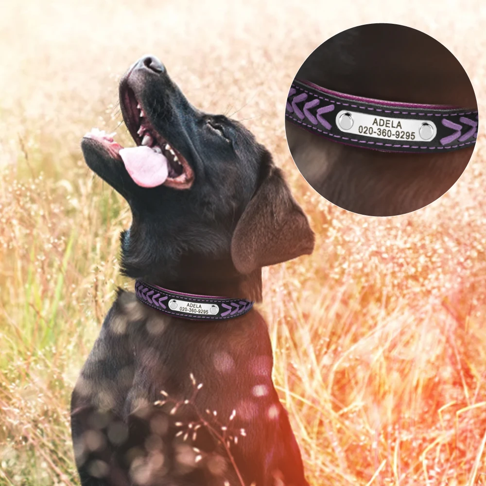Personalized Dog Collar with Engraved Tag - Adjustable for Small to Large Dogs