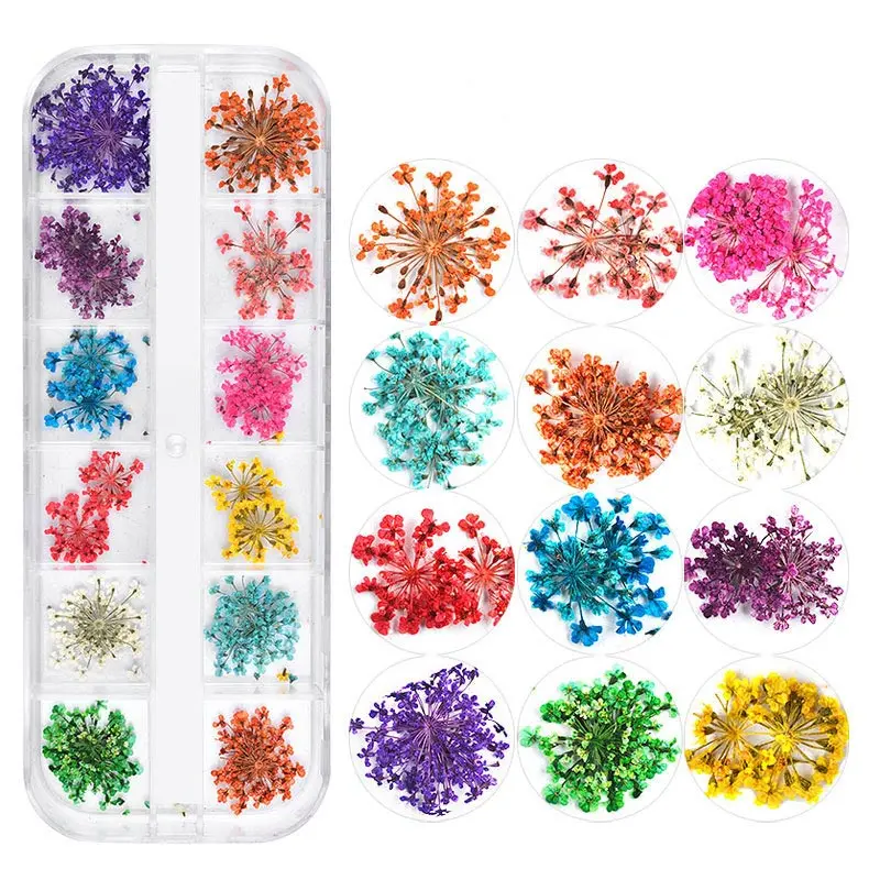 12 Colored Dried Flowers Craft Decoration FlatBack Cabochon Embellishments For Scrapbooking Accessories Nail Art DIY
12 Colored Dried Flowers Craft Decoration FlatBack Cabochon Embellishments For Scrapbooking Accessories Nail Art DIY