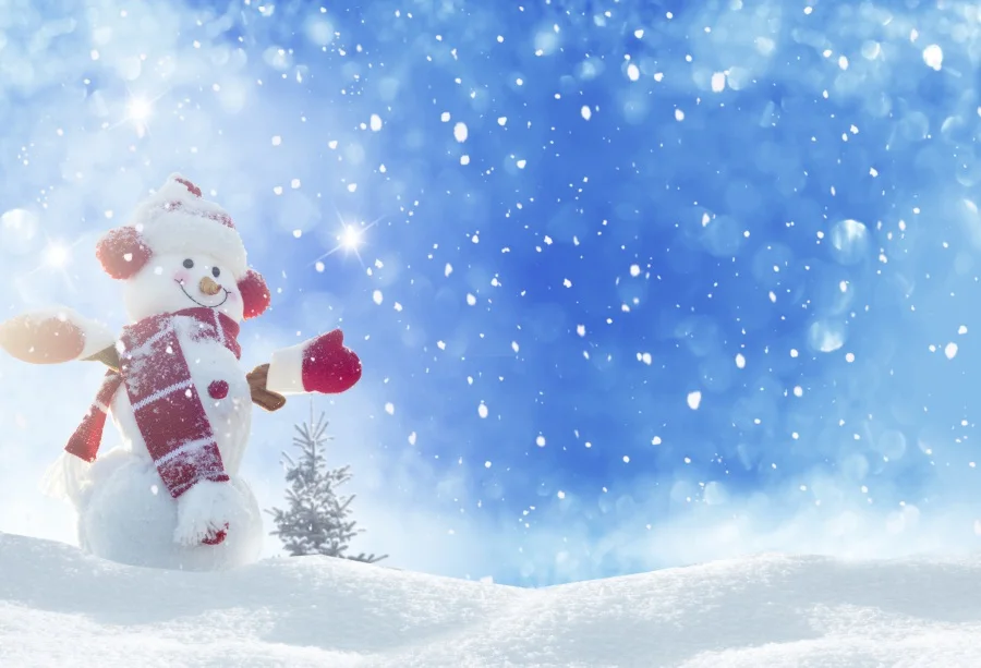 Laeacco Christmas Snowman Snowflake Baby Light Bokeh Photography Backgrounds Customized Photographic Backdrop For Photo Studio
Laeacco Christmas Snowman Snowflake Baby Light Bokeh Photography Backgrounds Customized Photographic Backdrop For Photo Studio