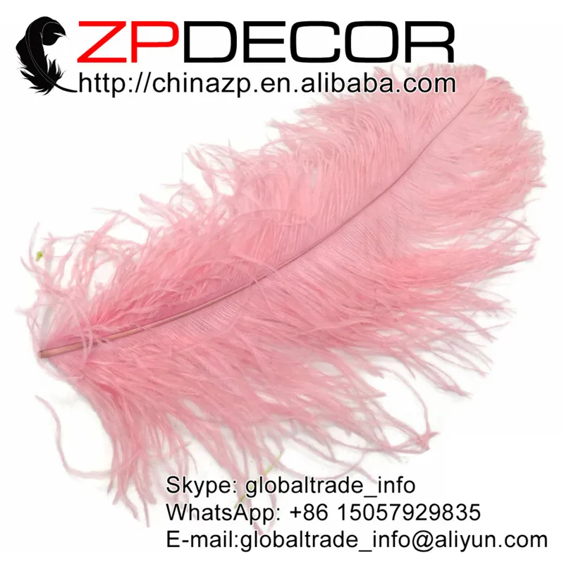 ZPDECOR Feathers 100 pcs/lot 45-50cm(18-20inch) Hand Select BABY PINK Large Wing Plumes Wholesale Feathers
ZPDECOR Feathers 100 pcs/lot 45-50cm(18-20inch) Hand Select BABY PINK Large Wing Plumes Wholesale Feathers