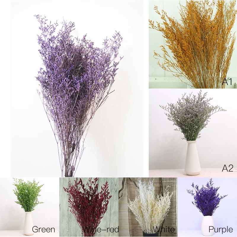Natural Dried Flowers Artificial Handmade Plant For Home Decor Scrap booking Handicraft Pastoral grass Landscaping Decor
Natural Dried Flowers Artificial Handmade Plant For Home Decor Scrap booking Handicraft Pastoral grass Landscaping Decor