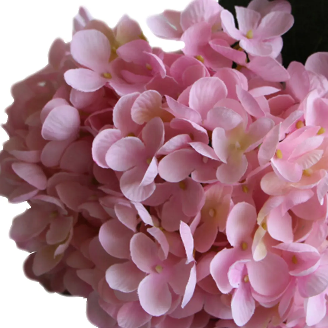 New Luxury Artificial Hydrangea Flower with Flower Rod DIY Hydrangea Accessory for Home Wedding Party Decoration
New Luxury Artificial Hydrangea Flower with Flower Rod DIY Hydrangea Accessory for Home Wedding Party Decoration