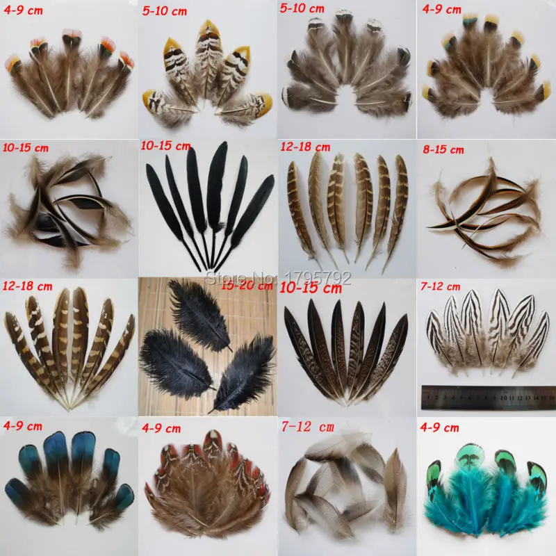 20 pcs 15 kinds natural pheasant tail chicken feathers goose ostrich duck plume for earring hat Accessories Crafts decorations
20 pcs 15 kinds natural pheasant tail chicken feathers goose ostrich duck plume for earring hat Accessories Crafts decorations