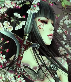 Samurai diamond embroidery full novelty 5d diamond painting full square drill Pictures rhinestones Diamond cross stitch picture
Samurai diamond embroidery full novelty 5d diamond painting full square drill Pictures rhinestones Diamond cross stitch picture