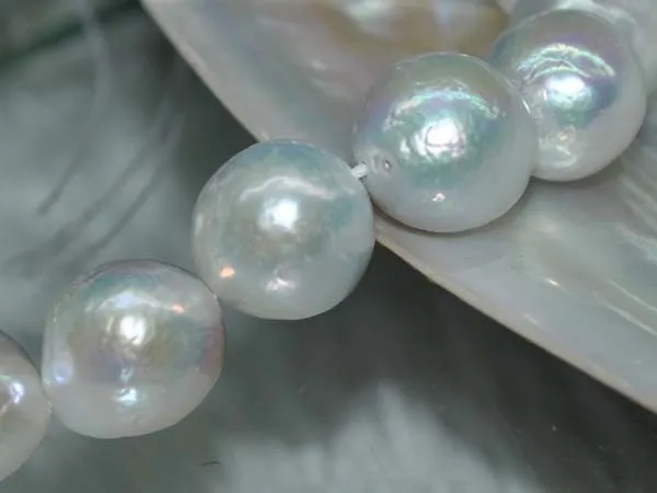 Natural RARE Blue White AA 13mm Very Luster Round Furrow Nuclear Pearl Big freshwater pearls beads
Natural RARE Blue White AA 13mm Very Luster Round Furrow Nuclear Pearl Big freshwater pearls beads