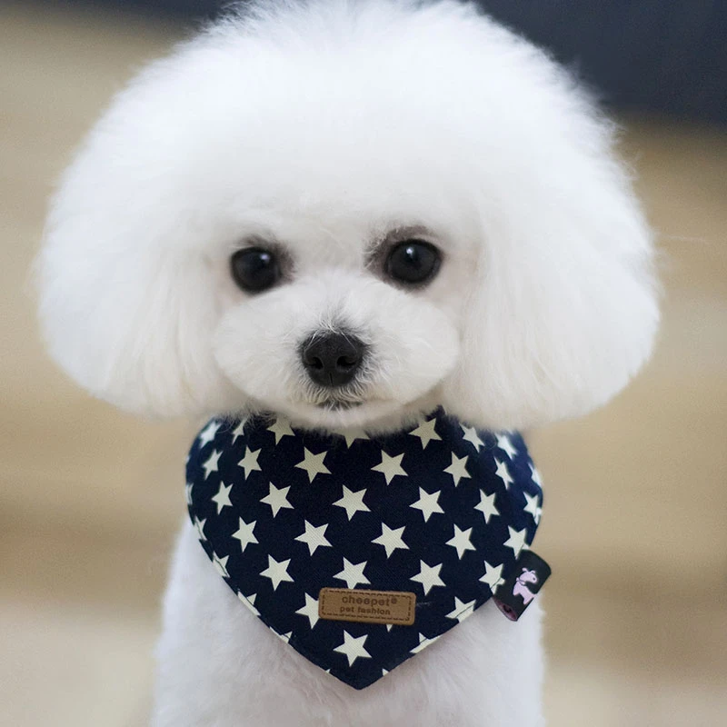 Pet Products Cat Dog Supplies Accessories Stars Print Triangular Bandage Neckerchief Puppy And Dog Bandana
Pet Products Cat Dog Supplies Accessories Stars Print Triangular Bandage Neckerchief Puppy And Dog Bandana