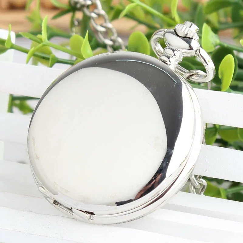 Retro Double Face Roman Numerals Skeleton Smooth Sliver Mechanical Pocket Watch Pendant Men Women With Chain Fob Watches TJX049
Retro Double Face Roman Numerals Skeleton Smooth Sliver Mechanical Pocket Watch Pendant Men Women With Chain Fob Watches TJX049