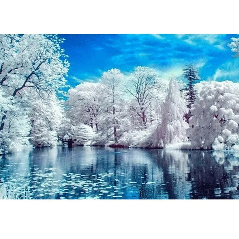 5D DIY diamond painting winter scenery frozen lake snow forests full square round diamond handmade mosaic bedroom decor gift
5D DIY diamond painting winter scenery frozen lake snow forests full square round diamond handmade mosaic bedroom decor gift