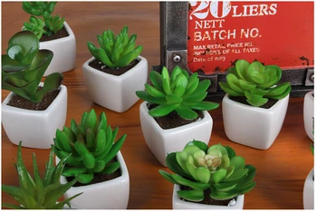 ANGRLY 2pcs Furnishing decorative activities Succulent plants Ornamental plant bonsai Vehicle Simulation pot wedding decoration
ANGRLY 2pcs Furnishing decorative activities Succulent plants Ornamental plant bonsai Vehicle Simulation pot wedding decoration