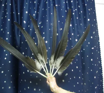 Wholesale 50 pcs rare natural eagle feathers 55-60 cm / 22-24 inch free shipping
Wholesale 50 pcs rare natural eagle feathers 55-60 cm / 22-24 inch free shipping