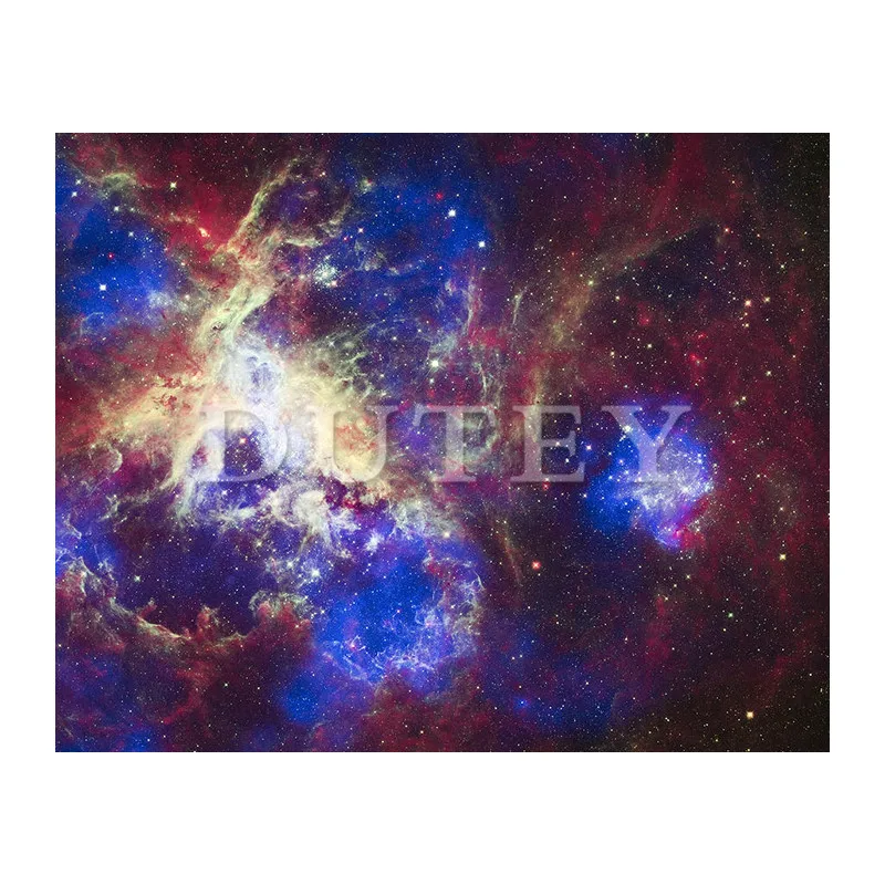 5D DIY Diamond Painting Tarantula Nebula Animal Needlework Home Decorative 3D Full Square Diamond Embroider LK1
5D DIY Diamond Painting Tarantula Nebula Animal Needlework Home Decorative 3D Full Square Diamond Embroider LK1