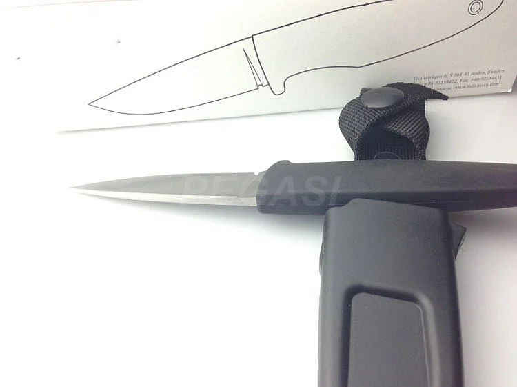 2118248240_742635196