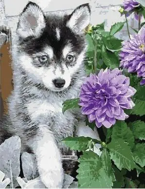 Puppy Husky Oil Painting By Number Acrylic Paint Decor Canvas Painting Coloring By Number Drawing Animal
Puppy Husky Oil Painting By Number Acrylic Paint Decor Canvas Painting Coloring By Number Drawing Animal