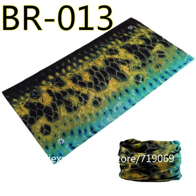 BR-013-5369