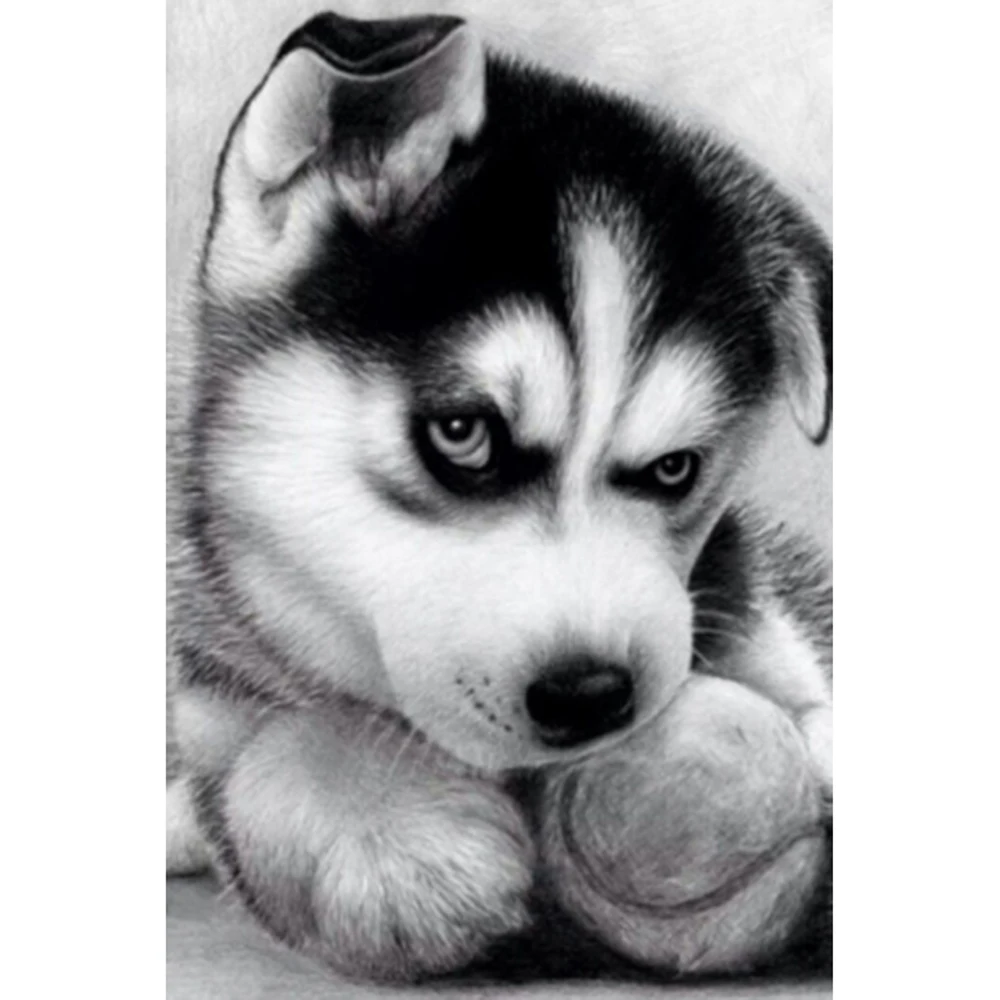Cross Stitch Kit DIY Diamond Embroidery Siberian Husky Full Square/round Diamond Painting Mosaic Home Decor
Cross Stitch Kit DIY Diamond Embroidery Siberian Husky Full Square/round Diamond Painting Mosaic Home Decor