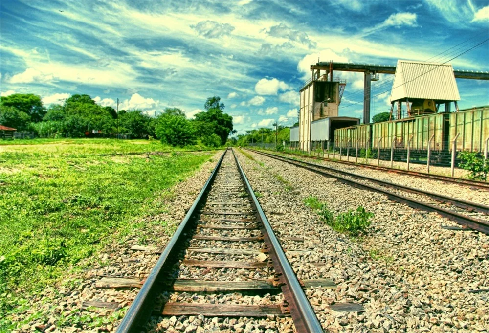Laeacco Railway Station Stone Cloudy Grass Scenic Photographic Backgrounds Customized Photography Backdrops For Photo Studio
Laeacco Railway Station Stone Cloudy Grass Scenic Photographic Backgrounds Customized Photography Backdrops For Photo Studio