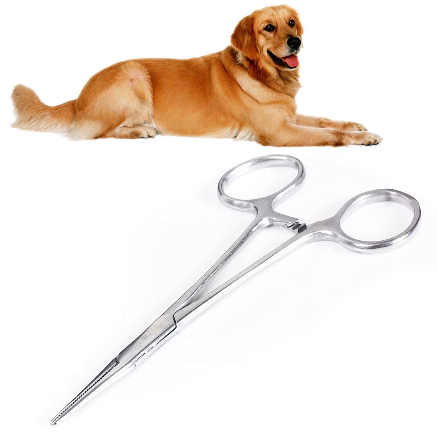 Behogar 1pc Pet Medical Stainless Steel Straight/Curved Head Hemostatic Clipper Scissors Needle Holder For Pet Hair Clamp Pliers
Behogar 1pc Pet Medical Stainless Steel Straight/Curved Head Hemostatic Clipper Scissors Needle Holder For Pet Hair Clamp Pliers