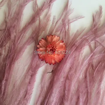 Free shipping 20 yards/lot rose pink ostrich feather trimming fringe ostrich feather trim for costumes crafts weddings
Free shipping 20 yards/lot rose pink ostrich feather trimming fringe ostrich feather trim for costumes crafts weddings