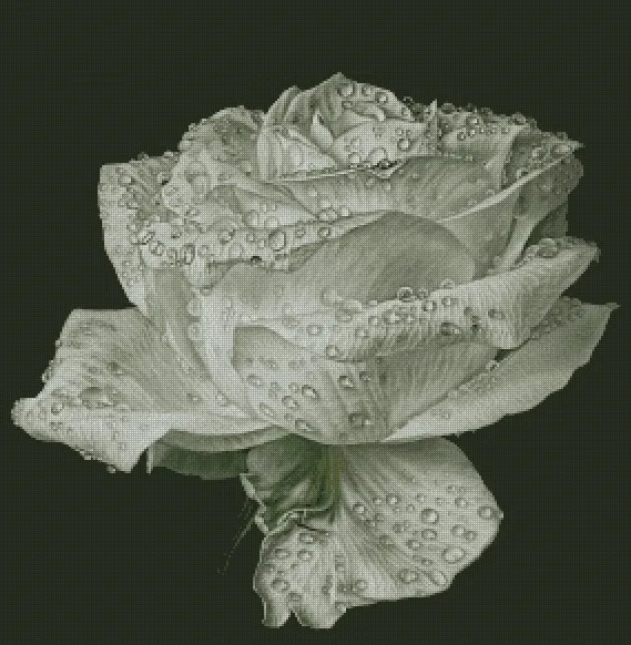 Needlework 14CT Cross Stitch, DIY Count Cross Stitch, Embroidery Set, Water drops of white roses
Needlework 14CT Cross Stitch, DIY Count Cross Stitch, Embroidery Set, Water drops of white roses