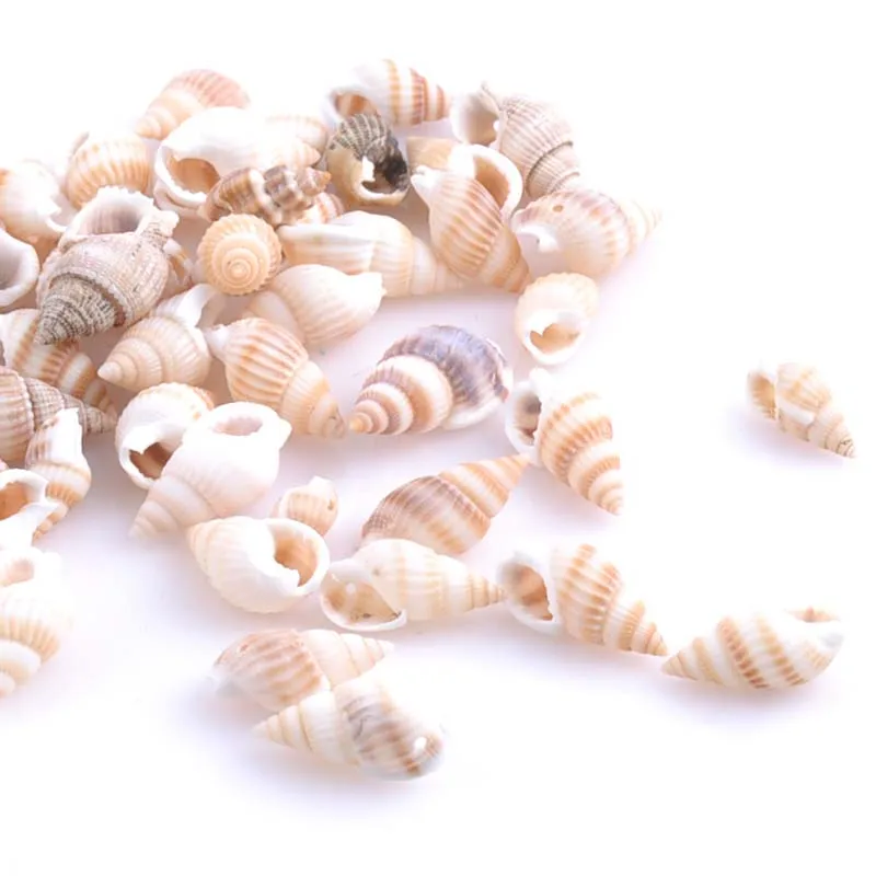 19-25mm Natural Spiral Sea Shell Conch Loose Beads for Jewelry Making DIY 100pcs TRS0126
19-25mm Natural Spiral Sea Shell Conch Loose Beads for Jewelry Making DIY 100pcs TRS0126