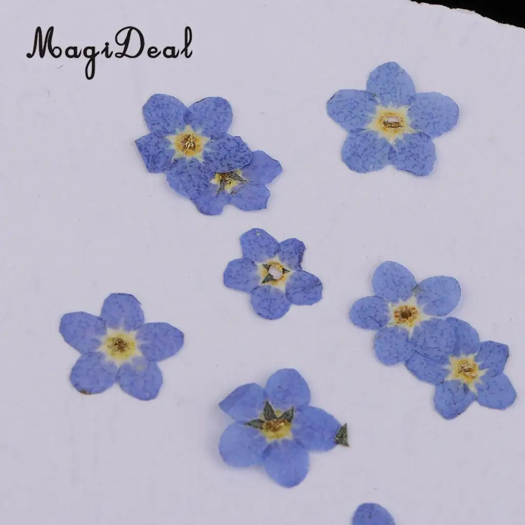 22pcs Mini Natural Dried Flowers Verbena Forget-me-not Embellishment for DIY Pendants Charms Nail Art Decoration