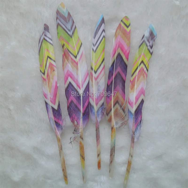 Plumas !50Pcs/lot!The Multicolor Painting Unique Goose Feathers Duck Feathers Wedding Feathers Hat Embellishment 9-15cm long
Plumas !50Pcs/lot!The Multicolor Painting Unique Goose Feathers Duck Feathers Wedding Feathers Hat Embellishment 9-15cm long
