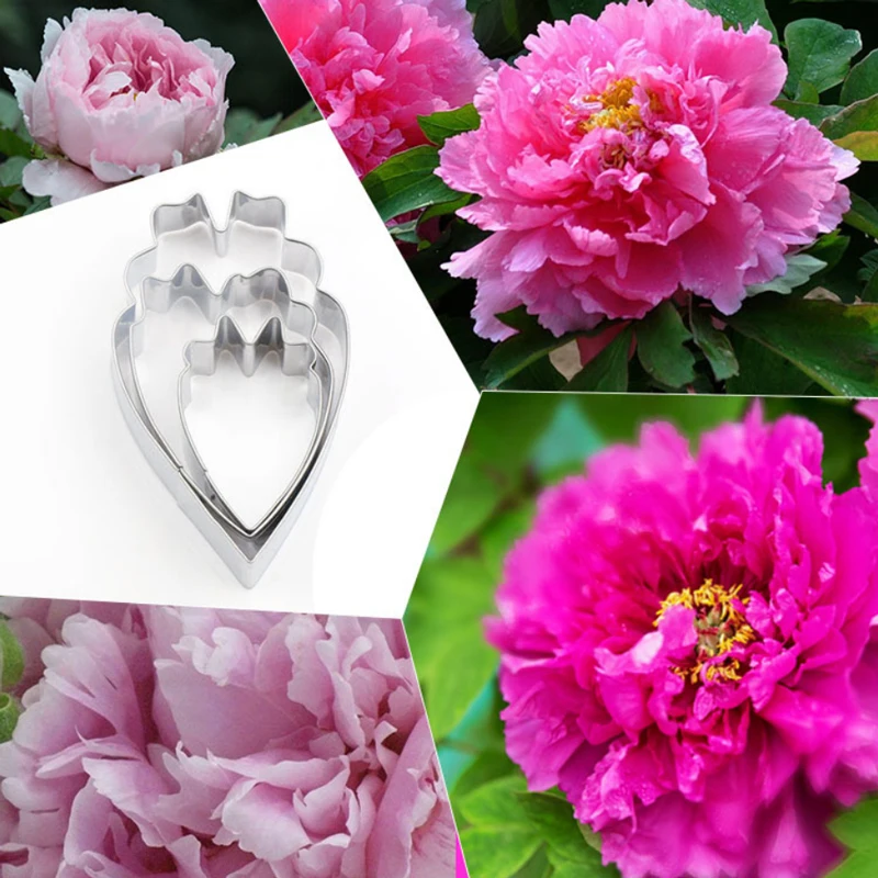 Peony 3Pcs Stainless Stell Cookie Cutter Pastry & Biscuit Baking Cutter Cake Decorating Tools Cupcake Mold Fondant Tools
Peony 3Pcs Stainless Stell Cookie Cutter Pastry & Biscuit Baking Cutter Cake Decorating Tools Cupcake Mold Fondant Tools