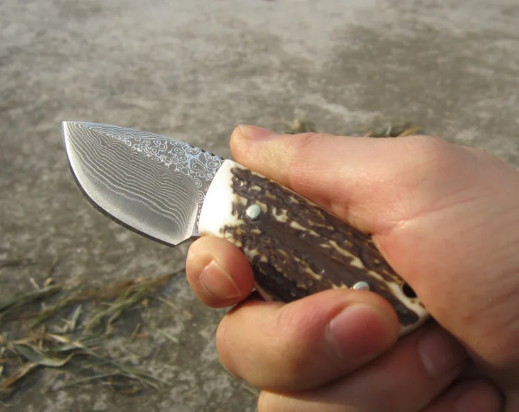 3602861289_742635196