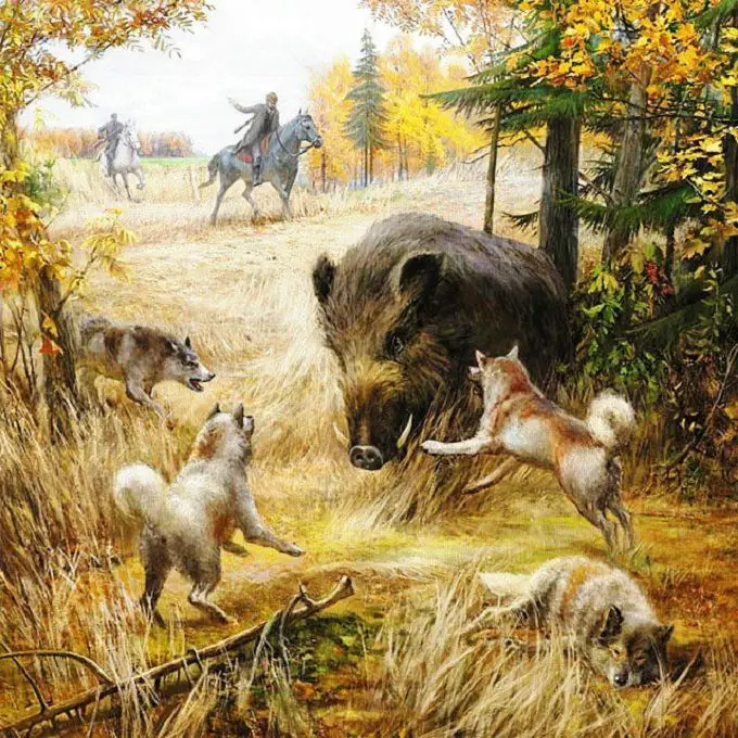 DIY Diamond Painting Cross Stitch Wild boar and wolf 3D Square Rhinestones Pictures Diamond Embroidery Mosaic Crafts Handmade
DIY Diamond Painting Cross Stitch Wild boar and wolf 3D Square Rhinestones Pictures Diamond Embroidery Mosaic Crafts Handmade