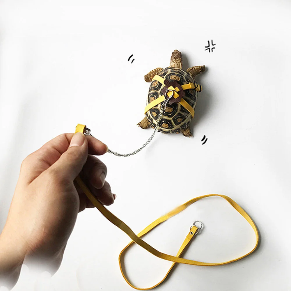 Cute Pets Tortoise Hauling Cable Soft Training Rope Small Reptile terrarium Outside
Cute Pets Tortoise Hauling Cable Soft Training Rope Small Reptile terrarium Outside