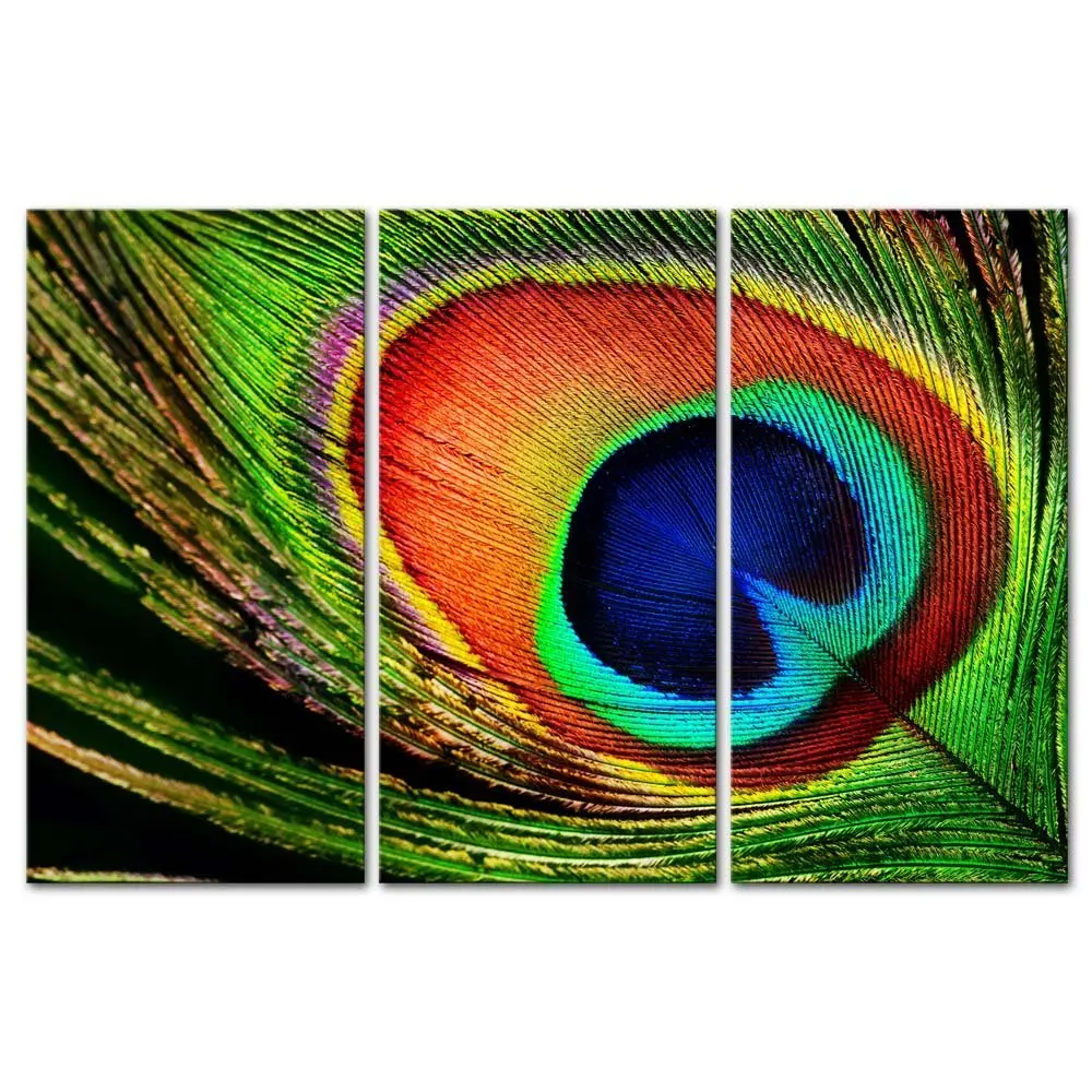 3 Pcs/Set Peacock Feather Wall Art Home Decoration Modern Wall Painting Canvas Art Canvas Wall Art Picture
3 Pcs/Set Peacock Feather Wall Art Home Decoration Modern Wall Painting Canvas Art Canvas Wall Art Picture