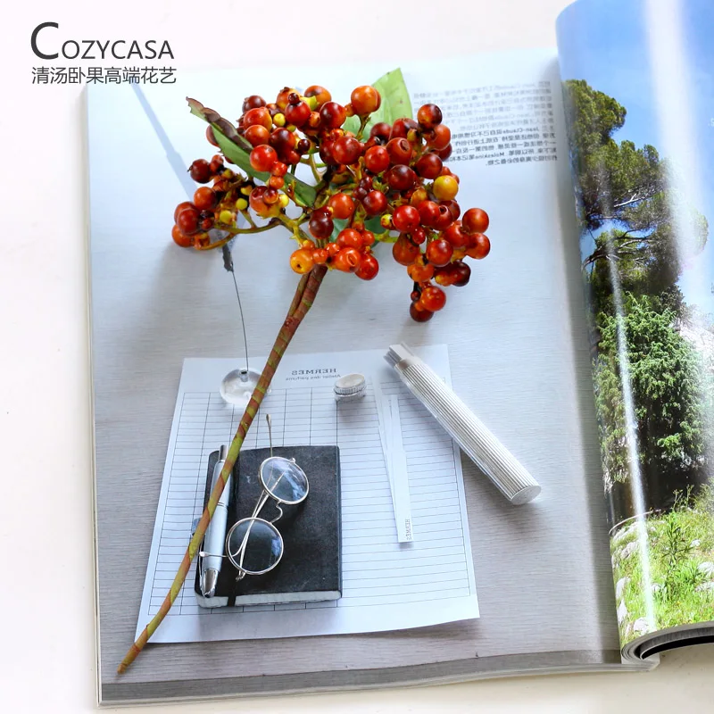 Pastoral nature mini fruit simulation flower plant ZAKKA wild small berry home decorative floral
Pastoral nature mini fruit simulation flower plant ZAKKA wild small berry home decorative floral