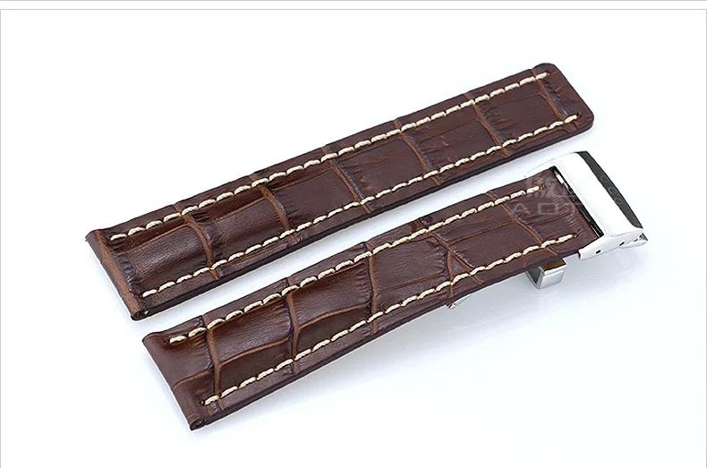 3033206370_1417998351