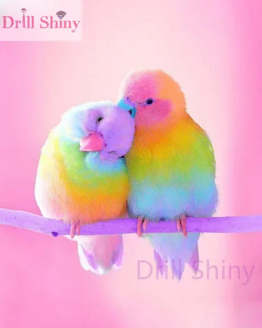 Full Square/Round Drill 5D DIY Diamond Painting "Colored bird" Embroidery Cross Stitch Scenery Pattern Rhinestone Home decor
Full Square/Round Drill 5D DIY Diamond Painting "Colored bird" Embroidery Cross Stitch Scenery Pattern Rhinestone Home decor