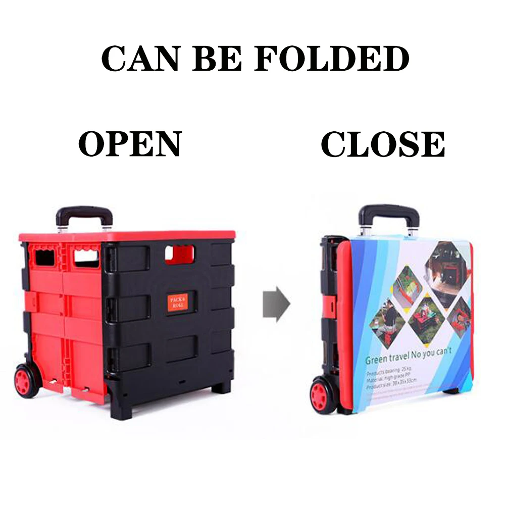 Trunk Organizer
