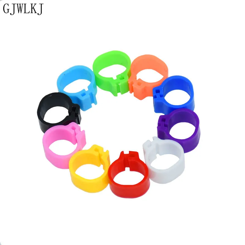 100pcs 8mm to 10mm bird foot ring pet bird carrier pigeon parrot 10 color no word foot ring animal supplies
100pcs 8mm to 10mm bird foot ring pet bird carrier pigeon parrot 10 color no word foot ring animal supplies