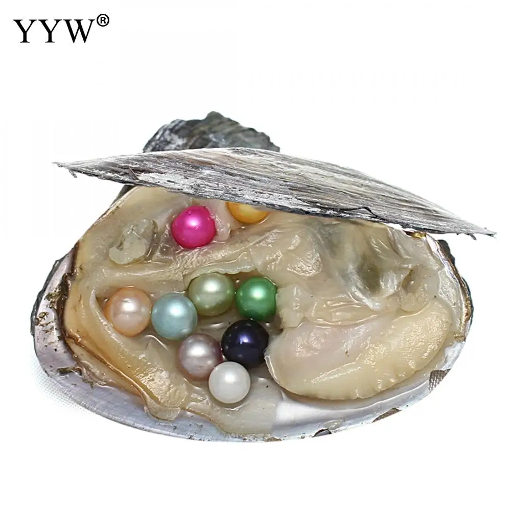 7-8mm Vacuum Pack Oyster Wish Freshwater Pearl Dyed Beads Multi Color Mussel Shell With Pearl Inside Dyed Pearl Beads For DIY
7-8mm Vacuum Pack Oyster Wish Freshwater Pearl Dyed Beads Multi Color Mussel Shell With Pearl Inside Dyed Pearl Beads For DIY