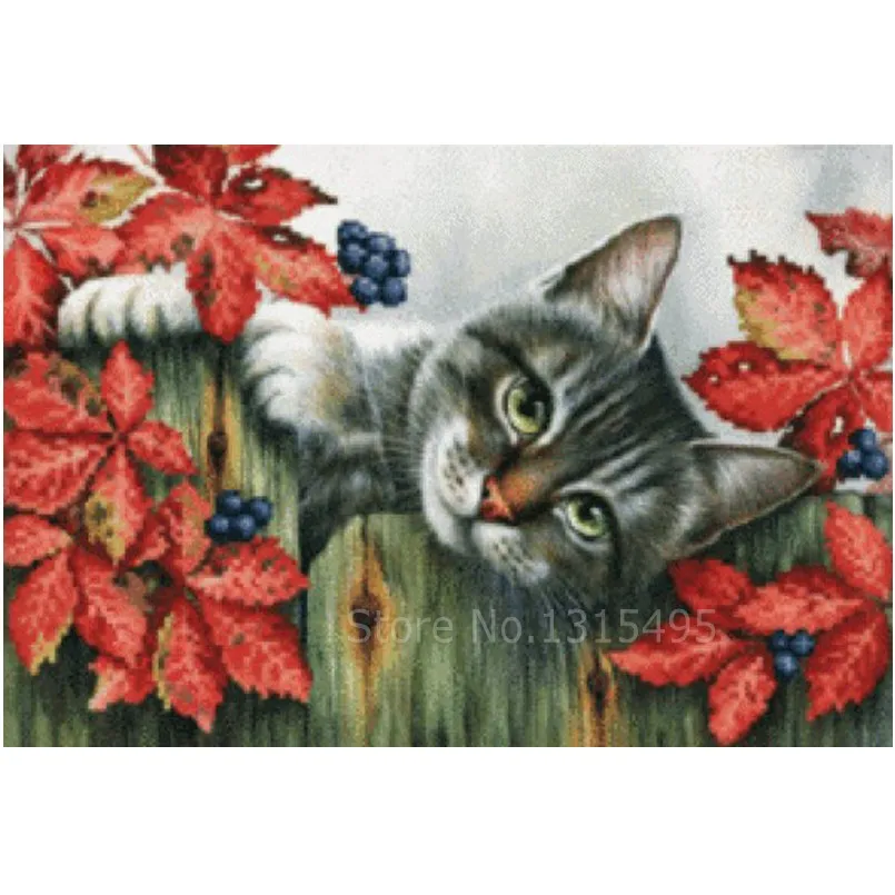 Sewing kit 3d diamond embroidery cat painting 35*25cm cross stitch diamond mosaic animal cat picture pastes needlework art N020 
Sewing kit 3d diamond embroidery cat painting 35*25cm cross stitch diamond mosaic animal cat picture pastes needlework art N020