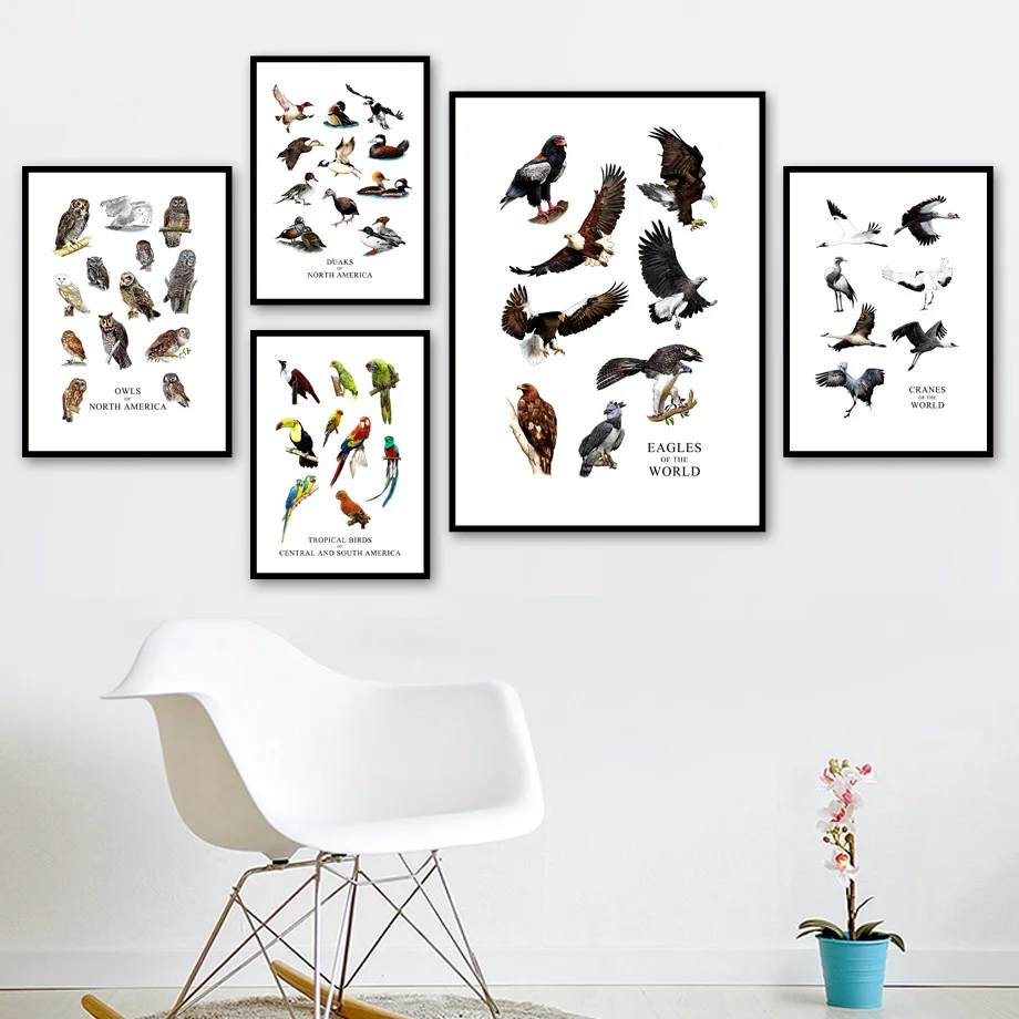 Crane Eagle Owl Duck Parrot Animal Prints Wall Art Canvas Painting Nordic Posters And Prints Wall Pictures For Living Room Decor
Crane Eagle Owl Duck Parrot Animal Prints Wall Art Canvas Painting Nordic Posters And Prints Wall Pictures For Living Room Decor