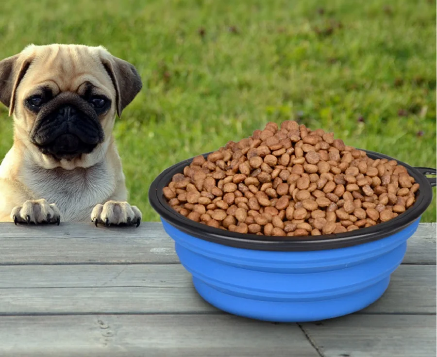 FC76 Free shipping Big Dog Bowl Silicone Fording Feeding Cat Bowl Water Dish Portable Big size Feeder Travel Bowls for Large dog
FC76 Free shipping Big Dog Bowl Silicone Fording Feeding Cat Bowl Water Dish Portable Big size Feeder Travel Bowls for Large dog