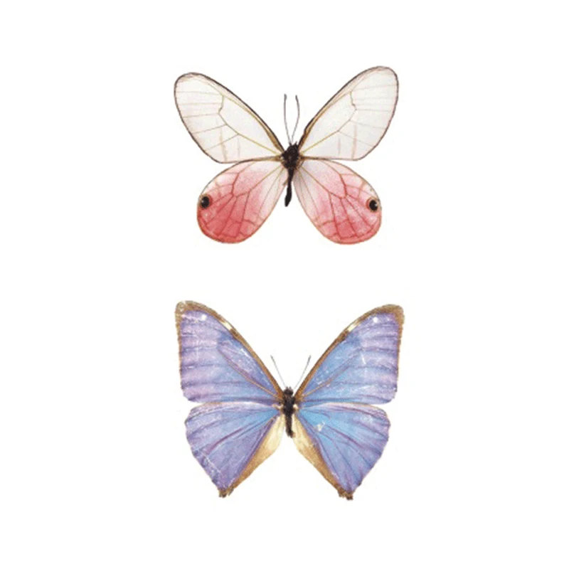 2017NEW Hot Design Temporary Tattoo for Adult Waterproof Tatoo Sticker Body Art Beautiful Dream Butterfly Fake Tattoo Man Woman
2017NEW Hot Design Temporary Tattoo for Adult Waterproof Tatoo Sticker Body Art Beautiful Dream Butterfly Fake Tattoo Man Woman