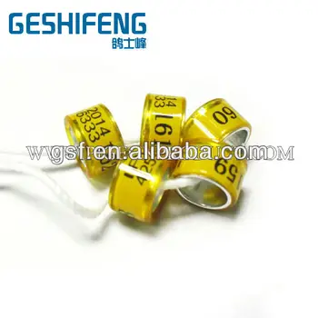 free shipping cheap 500pc ring in 3 colors custom with your name phone serial new hot seller pigeon ring
free shipping cheap 500pc ring in 3 colors custom with your name phone serial new hot seller pigeon ring