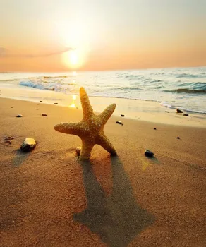 Colomac Photographic Background Seascape Romantic Leisure Photographic Backdrops Props for Photo Studio children photography
Colomac Photographic Background Seascape Romantic Leisure Photographic Backdrops Props for Photo Studio children photography