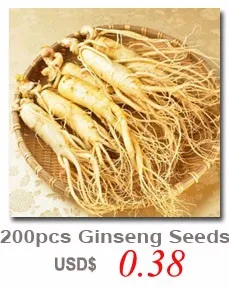 90g11