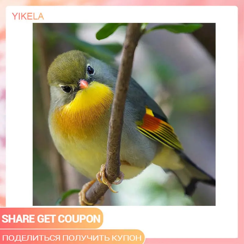 5D DIY Diamond Painting Diamond Embroidery 5D DIY Full Square Animals Bird Diamond Mosaic Diamond Painting for Mother's Day
5D DIY Diamond Painting Diamond Embroidery 5D DIY Full Square Animals Bird Diamond Mosaic Diamond Painting for Mother's Day